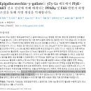 닙스시스템 이미지