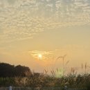 리니스 하우스 이미지