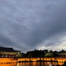 로또문어숙회 이미지