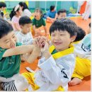 대호태권도체육관 이미지