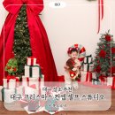 NR-30[달구벌대로]-하-35 | [블챌] 대구 크리스마스 셀프 사진관｜코코아스튜디오 죽전점｜내돈내산