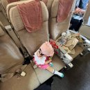 372 | 심천-인천(OZ371, OZ372)아시아나 탑승 후기(좌석/기내식), 아기 베시냇 신청 방법