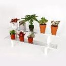 다육이 아트(B) 이미지