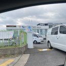 개스트하우스 | 제주 애견호텔 유치원 @개스트하우스, 진짜 최고 내돈내산