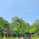 엉클캠프 이미지