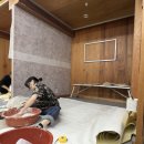 장인들도배기술학원 | 2025 도배기능사 자격증 취득, 울산도배타일기술학원 후기