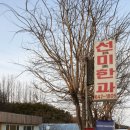 선미농장 이미지