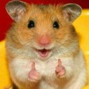 참나무숯불구이 이미지