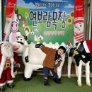 하성로 | 내돈내산 아이랑주말 가볼만한 연보람목장 후기 아이들 난리났던 하루