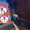 (주)토리컨설팅 | [루리의 일본생활] 예쁜 꽃다발과 함께 보내는 도쿄 일상: 도쿄 47평 마이홈 주문주택 ㅣ 엄빠 생일선물...