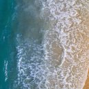 에콜로지 이미지