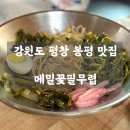 봉평메밀국수 - 유성구 | 📍 강원도 평창 봉평 맛집 ㅣ 메밀꽃필무렵 - 메밀의 고장 봉평에서 찾은 인생 메밀국수 내돈내산 솔직후기