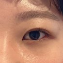 인천 부평 유지력 짱짱한 속눈썹펌 희로우 방문후기