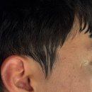 안골농장 | 시흥맛집으로 소문난 안골농장 다녀와봤어요