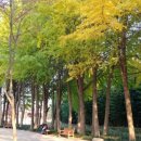 태화강 철새공원 이미지