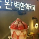 딸기유원지