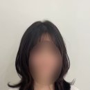 노트헤어