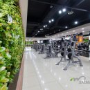 루트휘트니스 이미지