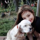 제니PC 이미지