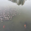 푸른행정사공인중개사사무소 이미지