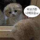 6월 싱가포르 혼여행 3일차(1), 유니버셜 스튜디오🎡