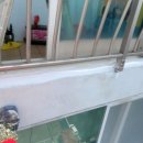 일동한신아파트 이미지