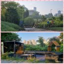 서울토렌스치과의원 이미지