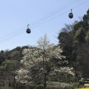 (주) 보쿠 | 일본 고베 자유여행 2박 3일 추천 코스 소개