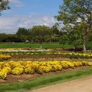 순천만국가정원 이미지