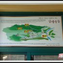 춘천 낭만의 봄 여행 - 김유정 문학촌에 머물다 이미지