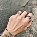 세컨디아즈 이미지