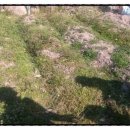 재성농장 이미지