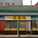 통영반다찌