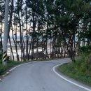 돌머리 696 이미지