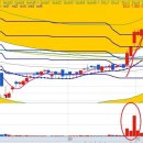 조광코리아 이미지