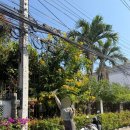 HEAL.s GATE GYM | [태국/치앙마이] 2일차 | 도파민 충전하는 날 👀