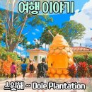 돌속농장 이미지