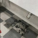 대한크린 - 종로구 성균관로7길 17-3 | 대한크린