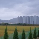 오솔길농원 이미지
