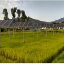 한빛태양광발전소 이미지