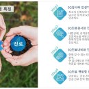 글로벌SQ아카데미장안센터 이미지