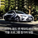 해앤임 이미지