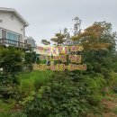 이천명품공인중개사사무소 이미지