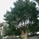 도균농장 이미지