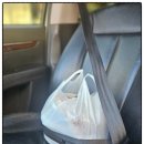 주정차 단속 - 053 이미지