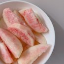 대홍농장 | 구천농원/백도딱딱이 대홍/내 돈 내산/후기