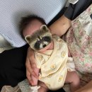 칠곡군보건소 | 조은맘 산후도우미 구미 칠곡점 솔직 후기 / 서비스 가격 및 정부 지원금 정보