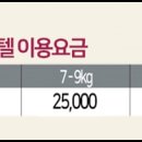 스타인호텔 이미지