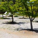 별바라기 캠핑 펜션 이미지