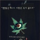 차우민박 이미지